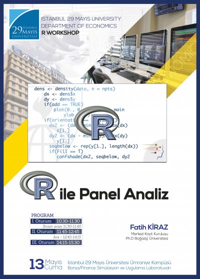 R ile Panel Analiz
